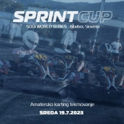 karting-cibikart-maribor-europark-slovenia-sodikart-sodiwseries
